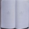 Berger Diary (2021)