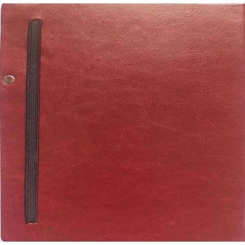 Berger Diary (2021)