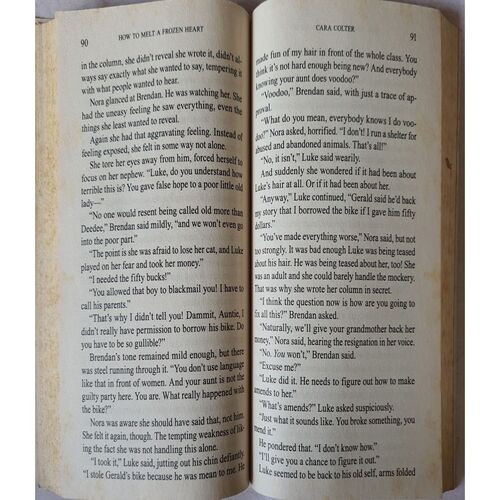 How To Melt A Frozen Heart ( By Cara Colter )