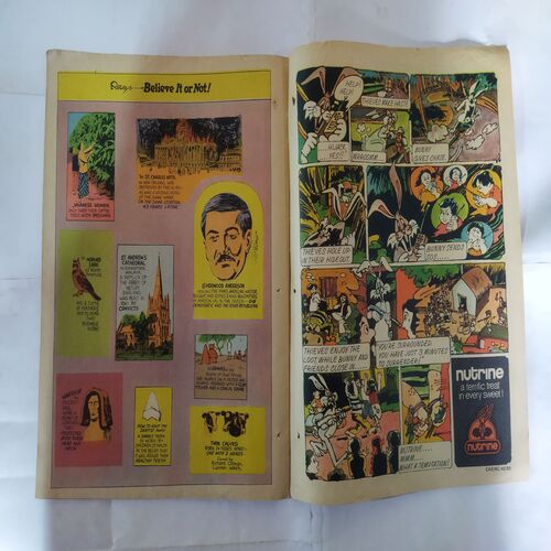 THE DRAGNET (BACK COVER IS MESSING)