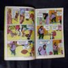 PRAN'S CHACHA CHAUDHARY AND SKY DIVERS