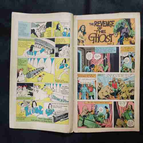 THE REVENGE OF THE GHOST (PART-1)