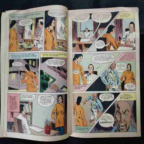 BAHADUR & THE KUNGFU KINGS