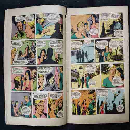 THE EMBITTERED PRINCESS