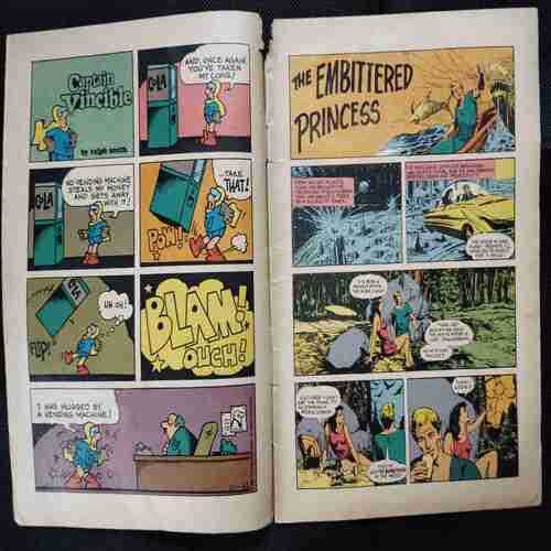 THE EMBITTERED PRINCESS