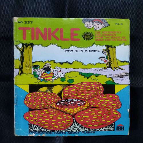 TINKLE (NO-337)