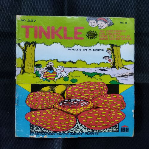 TINKLE (NO-337)