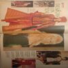 The Telegraph Magazine (1 May 1994)
