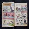 TINKLE (NO-176)