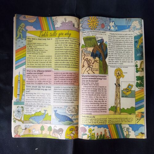 TINKLE (NO-370)