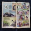 TINKLE (NO-175)