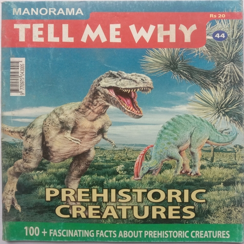 Tell Me Why (May 2010)