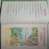 The Best Of Panchatantra