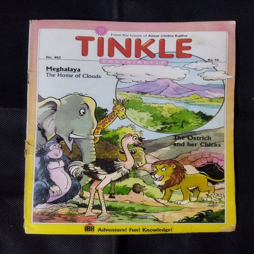 TINKLE (NO-462)