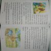 The Best Of Panchatantra