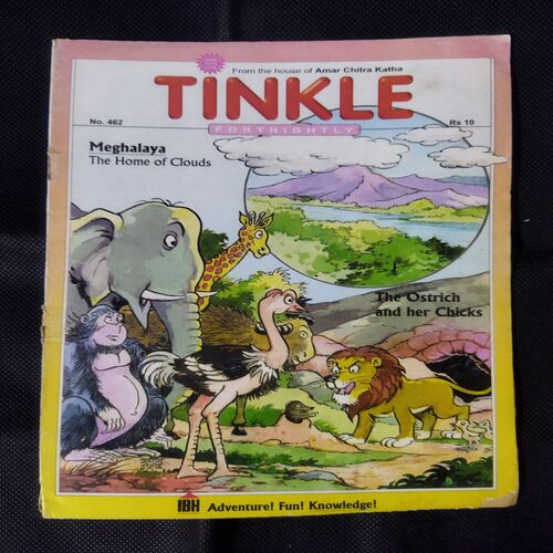 TINKLE (NO-462)