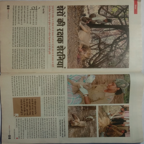 Outlook (1-15 December 2015)