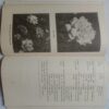 Practical Photography Course (By A.H Hashmi)