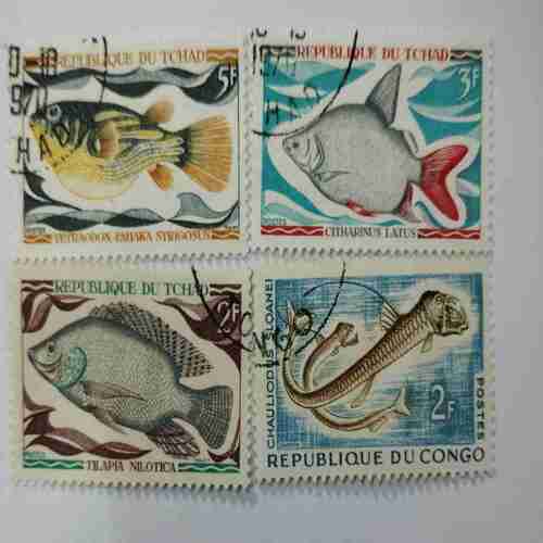 CHauliodus Sloanei / Cttharinus Latus  Tetraodon Eahaka Strigosus/Tilapia Nilotica ( Stamp)