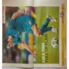 Sport Star ( Saturday, July 8, 2006 ) (Big Size)