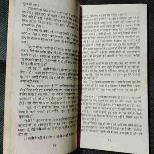 Chambal Ka Kalank ( Raamakumaar Bhramr )
