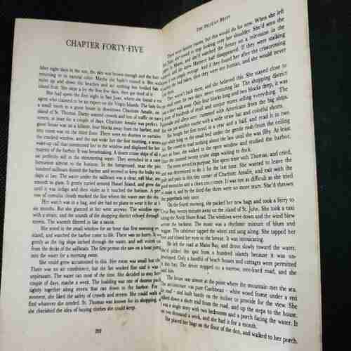 The Pelican Brief ( John Grisham )