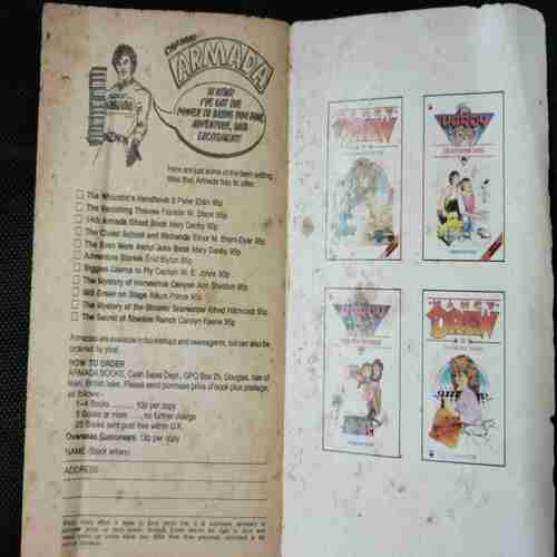 The Viking Symbol Mystery ( The Hardy  Boys )