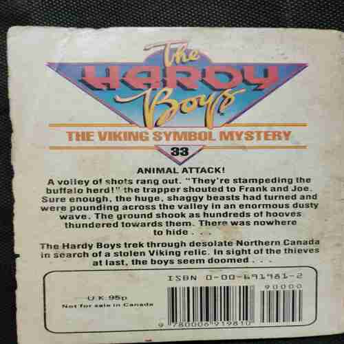 The Viking Symbol Mystery ( The Hardy  Boys )