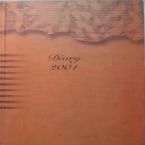 Diary (2001)