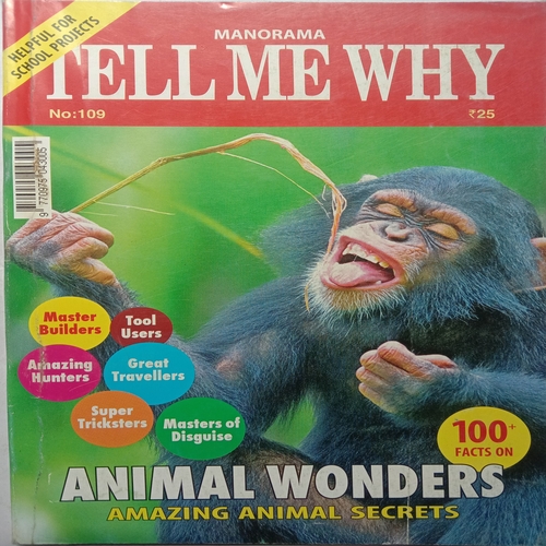 Tell Me Why (October 2015)
