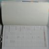 Executive Diary (2020)