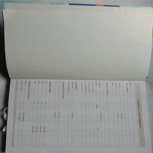 Executive Diary (2020)
