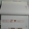 Executive Diary (2020)