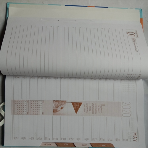 Executive Diary (2020)