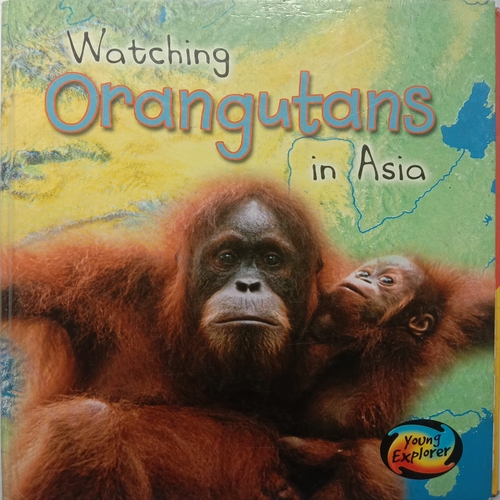 Watching Orangutans In Asia (Deborah Underwood)