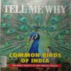 Tell Me Why (September 2017)
