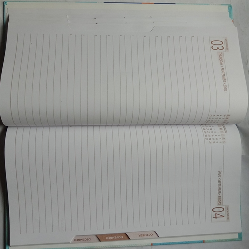 Executive Diary 2020