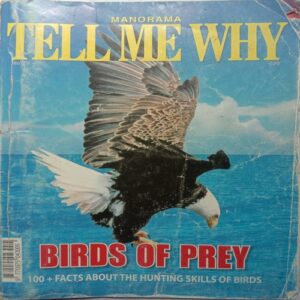 Tell Me Why (October 2012)