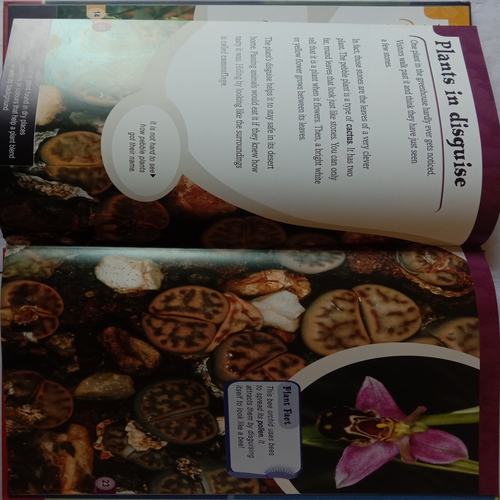 Plants Secrets (By Anna Claybourne)