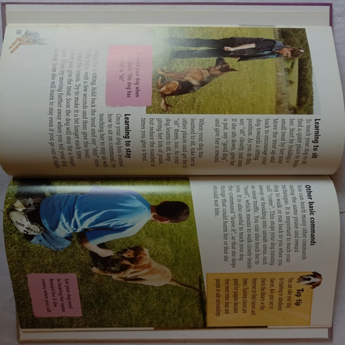 Keeping Pets Dogs (By Louise and Richard Spilsbury)