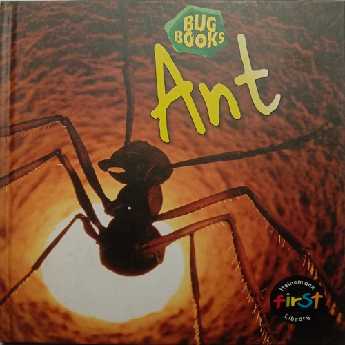 Ant (By Karen Hartley and Chris Macro)