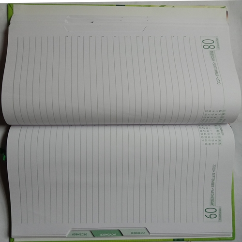 Diary 2020