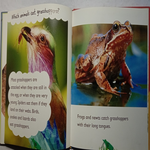 Grasshopper ( By Karen Hartley, Chris Macro and Philip Taylor )