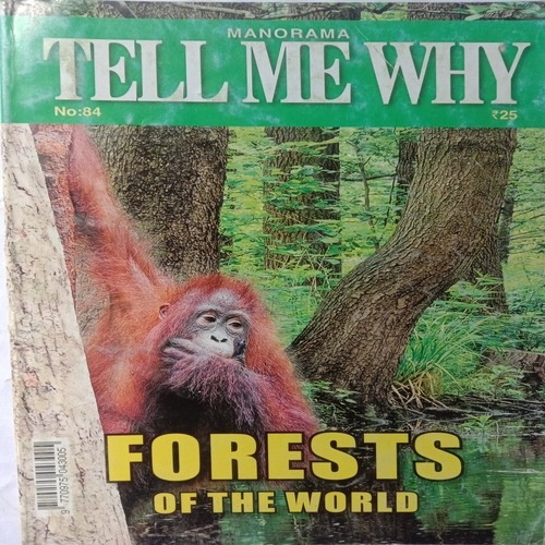 Tell Me Why (September 2013)