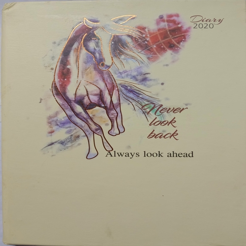 Diary 2020