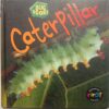 Caterpillar (By Karen Hartley, Chris Macro and Philip Taylor)