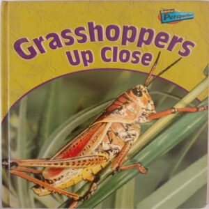 Grasshoppers Up Close ( By Greg Pyers )