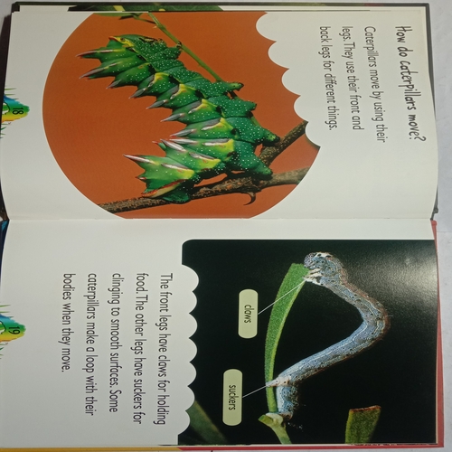 Caterpillar (By Karen Hartley, Chris Macro and Philip Taylor)