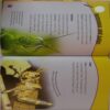 Grasshoppers Up Close ( By Greg Pyers )