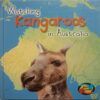 Watching Kangaroos in Australia (BY Louise and Richard Spilsbury)